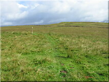 NX6489 : Southern Upland Way towards Culmark Hill by Chris Wimbush