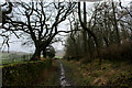 Bridleway heading for Flasby Fell