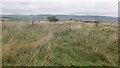 Hill above Taymount