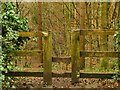 Stile into Spring Wood