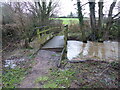 Footbridge over the stream