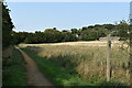 TM1441 : Bobbits Lane Local Nature Reserve by Simon Mortimer
