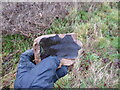 Pottery shard found in plough soil on the footpath near Shoot Hill