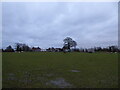 Distant view to a smallholding near Shoot Hill