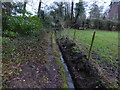 Footpath and ditch at Shoot Hill