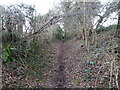 Sunken way between Cound and Upper Cound