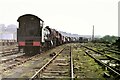 Steam Locomotive Graveyard, Barry, 1984