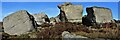 SK2494 : Hurkling Stones on Broomhead Moor by Dave Pickersgill