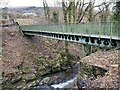 Footbridge over river