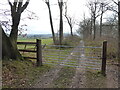 SJ5603 : Gate on a woodland path by Jeremy Bolwell