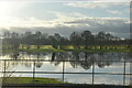 SJ8332 : Localised flooding, Meece Brook by N Chadwick