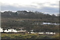 Doxey Marshes