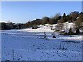 Field off Hougher Wall Road