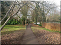 TQ2937 : Path towards Copthorne Road by Robin Webster