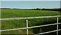SX8750 : Field by Jawbones Hill by Derek Harper