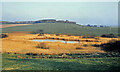 Heart Loch view 1975