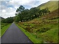 The road in Glen Elchaig