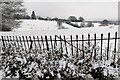 Snow covered fields at Trimpley