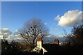 Chimney pots at Plumstead Common