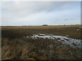 Prepared field off Faldingworth Road