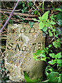 Old Boundary Marker at Oxenham Farm