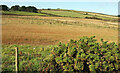 SX8748 : Farmland above Warren Point by Derek Harper