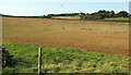 SX8748 : Farmland above Warren Cove by Derek Harper