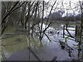 Flooded drain in Kennington