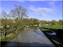 SU4996 : The River Thames in Abingdon by Steve Daniels