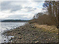 The shore of Loch Awe at Dalavich