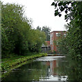 Dudley No 2 Canal south of Dudley