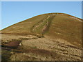 NT2061 : Steep path onto Carnethy Hill by Adrian Taylor