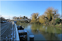 TL4659 : Willows and Riverside Bridge by John Sutton