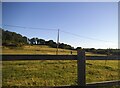 Field by Lower Road, Teynham