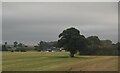 Farmland, Barrow Hill Farm