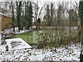 Pond by Balcombe Road, Pound Hill, Crawley