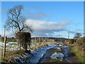 Farm track and footpath Studley Roger