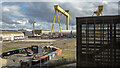 J3575 : Cranes, Belfast by Rossographer