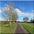 TL4155 : Barton: on the A603 cycle track near Roman Hill by John Sutton