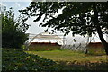 Polytunnels, Berry Gardens