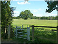 Footpath 40 from Little Bushey Lane towards  Hilfield Lane