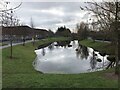 Neighbourhood sustainable drainage storage pond