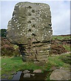SK2462 : The Cork Stone on Stanton Moor by Sandy Gerrard