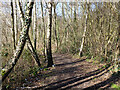 Path around Maidenbower Pond