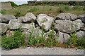 Sea defence wall protecting the cliffs