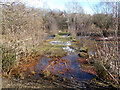 Causeway, Maidenbower Pond