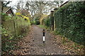 Cabbage Stalk Lane