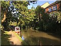 Leafy canalside, the Cape, Warwick