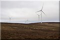 NT7167 : Aikengall II Wind Farm by Richard Webb