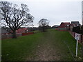 Green space in the housing estate in Sutton, Shrewsbury